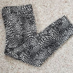 Animal Print Ankle Pants